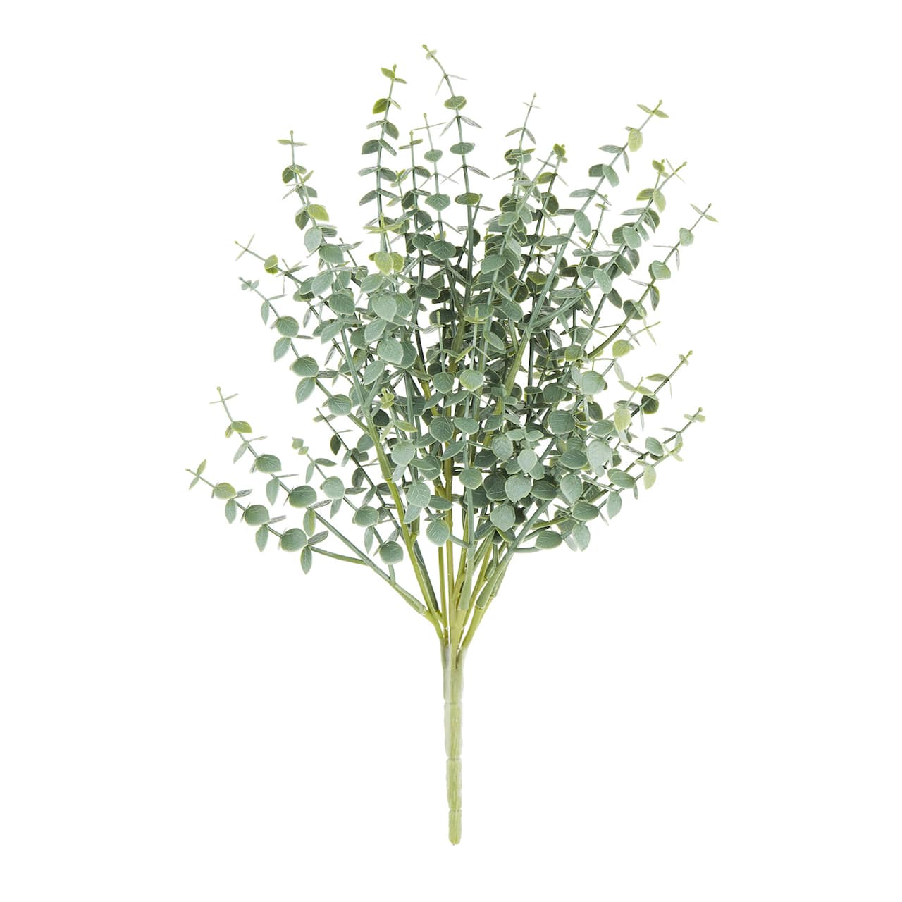 Eucalyptus Bush by Ashland®